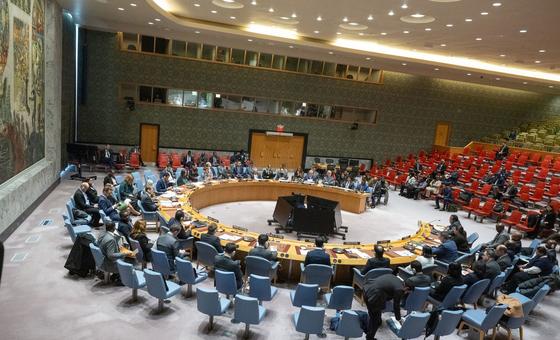 من الأرشيف: مجلس الأمن الدولي.